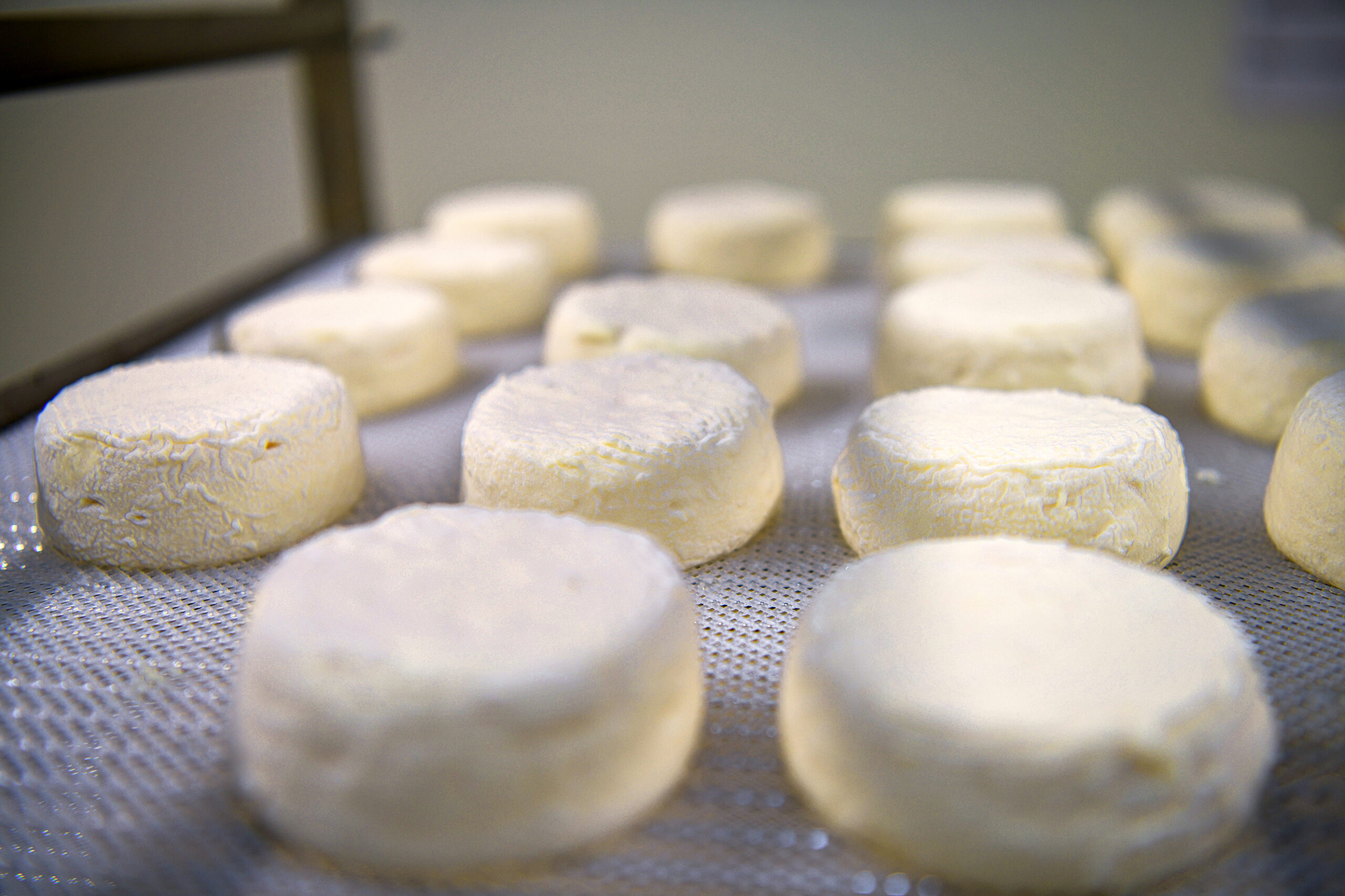 Fabrication à la Laiterie de La Roche