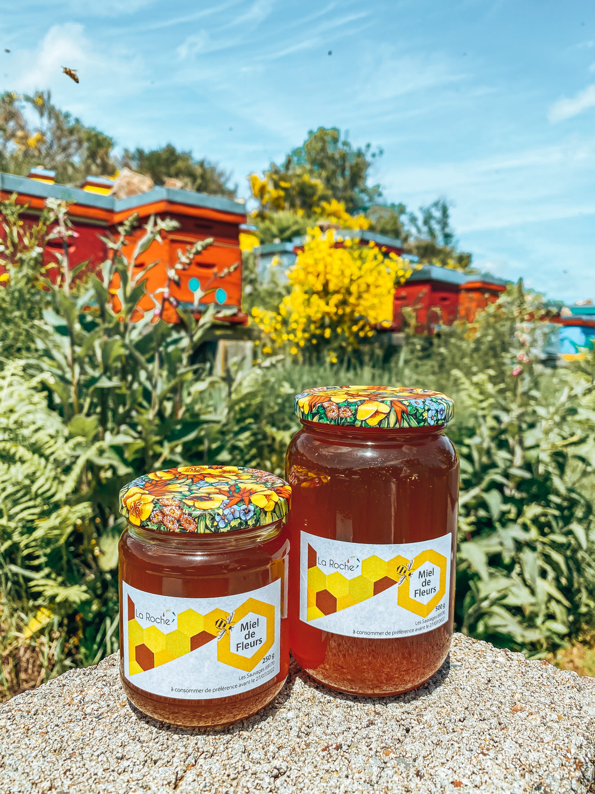 PRODUITS TERROIR (8)
